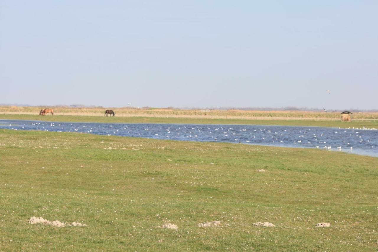 A Cote De La Mer Ault Kültér fotó