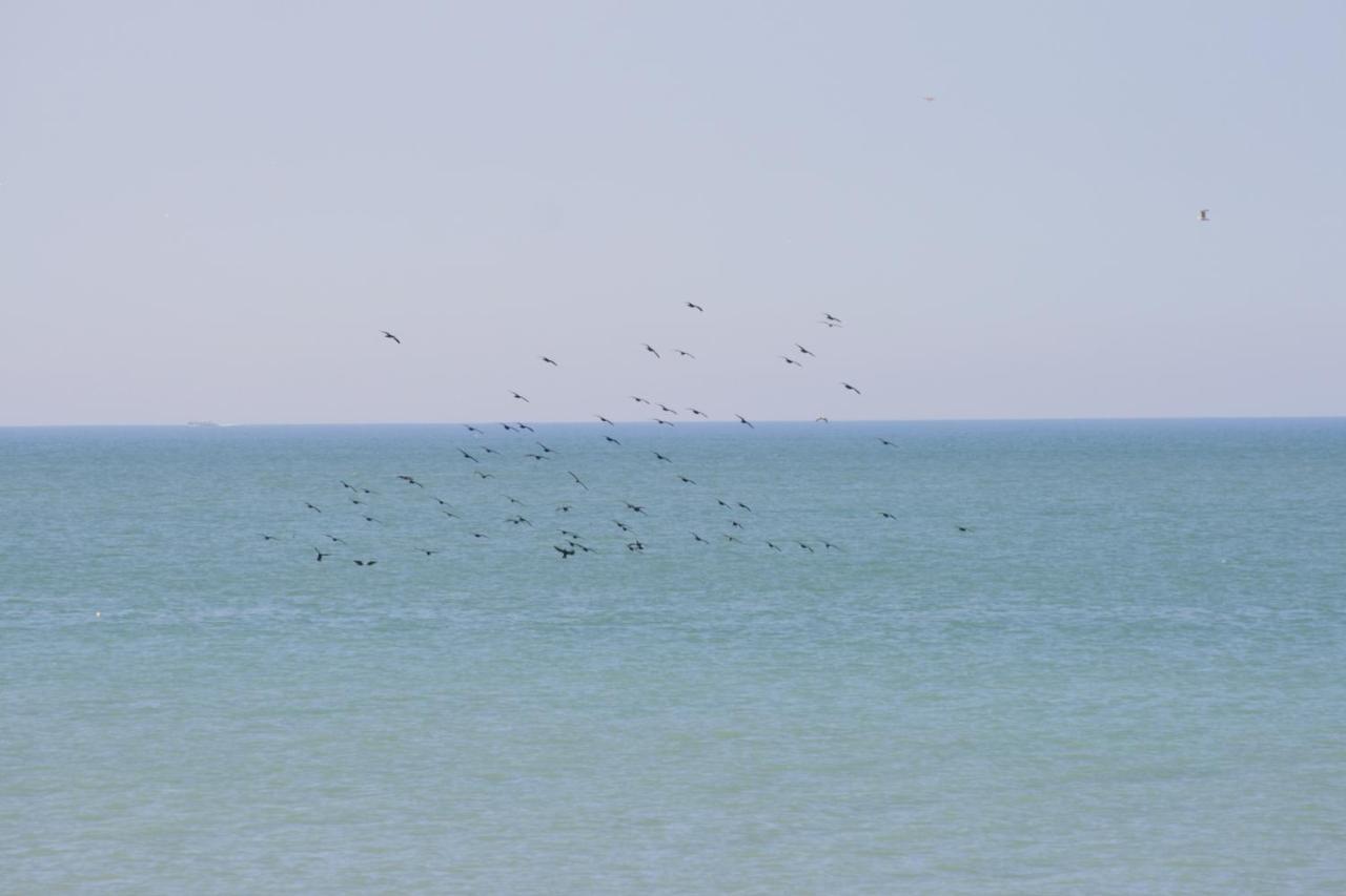 A Cote De La Mer Ault Kültér fotó